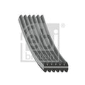 Curea transmisie caneluri FEBI BILSTEIN 40712
