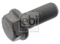 Surub, etrier 48810 FEBI BILSTEIN