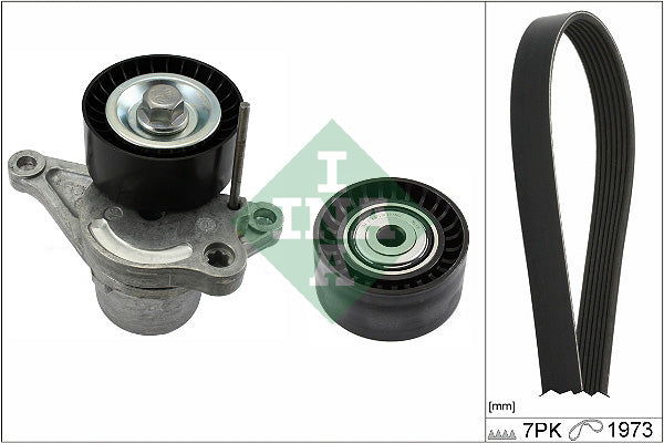 Set curea transmisie cu caneluri 529 0317 10 INA