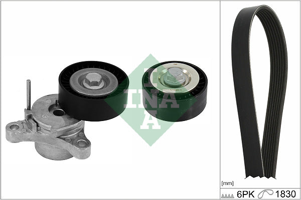 Set curea transmisie cu caneluri 529 0448 10 INA