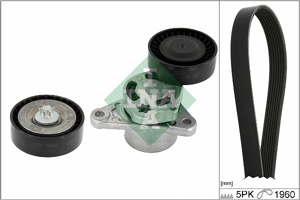 Set curea transmisie cu caneluri 529 0487 10 INA