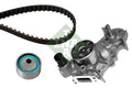 Set pompa apa + curea dintata 530 0182 30 INA