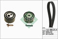 Set curea de distributie 530 0447 10 INA