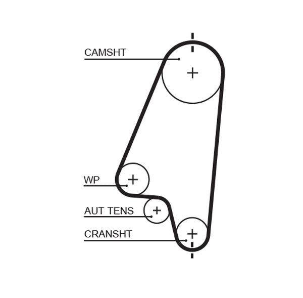 Curea de distributie 5310XS GATES