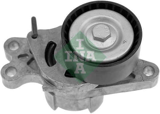 Intinzator curea, curea distributie 534 0179 10 INA