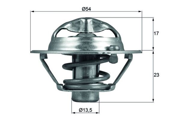 termostat,lichid racire TX 118 82D MAHLE