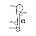 Curea de distributie 5479XS GATES