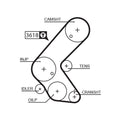 Curea de distributie 5563XS GATES