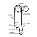 Curea de distributie 5565XS GATES