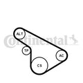 Set curea transmisie cu caneluri 5PK1212K1 CONTINENTAL CTAM