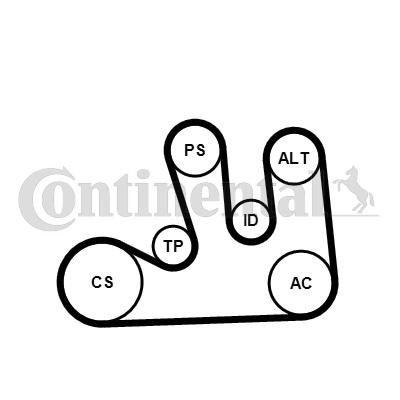 Set curea transmisie cu caneluri 5PK1750K1 CONTINENTAL CTAM