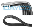Curea transmisie cu caneluri 5PK1150 DAYCO
