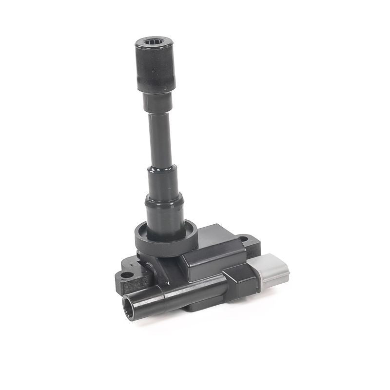 Bobina de inductie GN10318-12B1 DELPHI