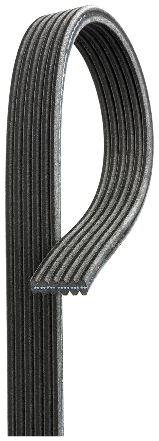 Curea transmisie cu caneluri 6DPK1195 GATES