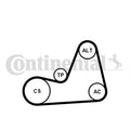 Set curea transmisie cu caneluri 6PK1100K1 CONTINENTAL CTAM