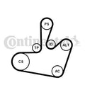 Set curea transmisie cu caneluri 6PK1548K1 CONTINENTAL CTAM