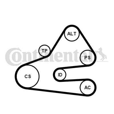 Set curea transmisie cu caneluri 6PK1613K1 CONTINENTAL CTAM