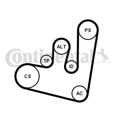 Set curea transmisie cu caneluri 6PK1660K1 CONTINENTAL CTAM