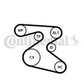 Set curea transmisie cu caneluri 6PK1873K1 CONTINENTAL CTAM