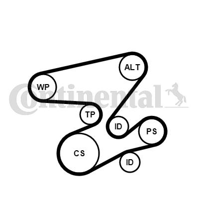 Set curea transmisie cu caneluri 6PK2080K1 CONTINENTAL CTAM