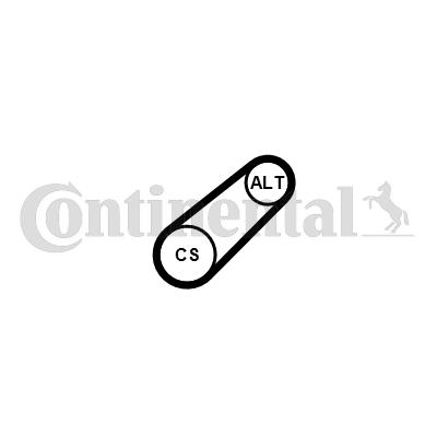 Curea transmisie cu caneluri 6PK701 ELAST CONTINENTAL CTAM
