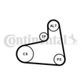 Set curea transmisie cu caneluri 6PK906K1 CONTINENTAL CTAM