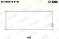 Cuzineti biela 71-3704/6 STD GLYCO
