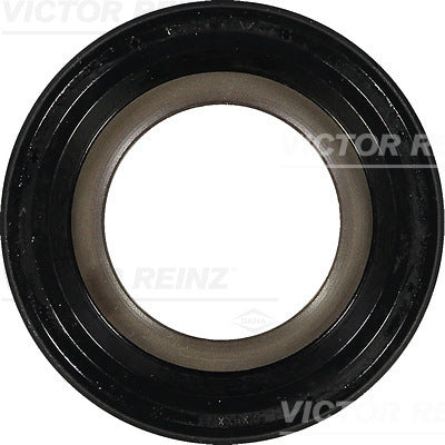 Simering, arbore cotit 81-10369-00 VICTOR REINZ