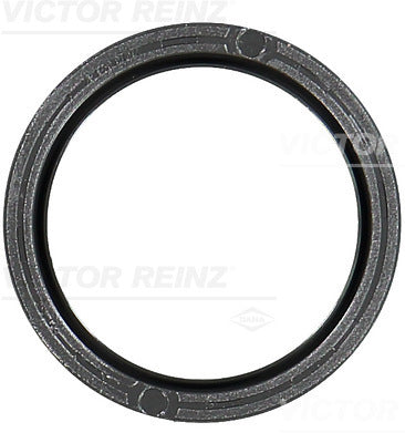Simering, ax cu came 81-10481-00 VICTOR REINZ