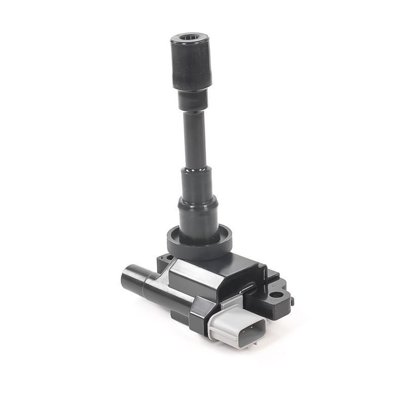 Bobina de inductie GN10318-12B1 DELPHI