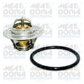 termostat,lichid racire 92185 MEAT & DORIA