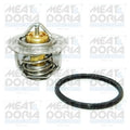 termostat,lichid racire 92211 MEAT & DORIA