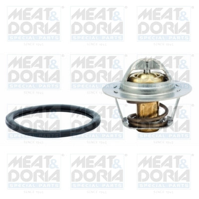 termostat,lichid racire 92242 MEAT & DORIA