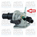 termostat,lichid racire 92497 MEAT & DORIA