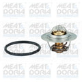 termostat,lichid racire 92545 MEAT & DORIA