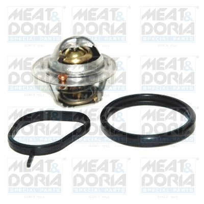 termostat,lichid racire 92627 MEAT & DORIA