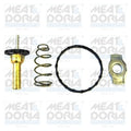 termostat,lichid racire 92784 MEAT & DORIA