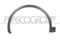 latire,aripa AD8251582 PRASCO