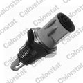senzor,temperatura aer admisie AS0002 CALORSTAT by Vernet