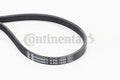Curea transmisie cu caneluri 4PK1538 CONTINENTAL CTAM