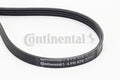 Curea transmisie cu caneluri 4PK970 CONTINENTAL CTAM