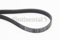 Curea transmisie cu caneluri 5PK1334 CONTINENTAL CTAM