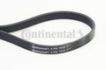 Curea transmisie cu caneluri 5PK1515 CONTINENTAL CTAM