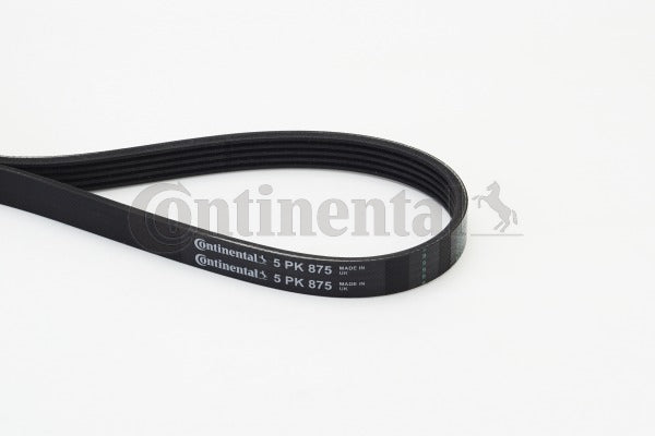 Curea transmisie cu caneluri 5PK875 CONTINENTAL CTAM