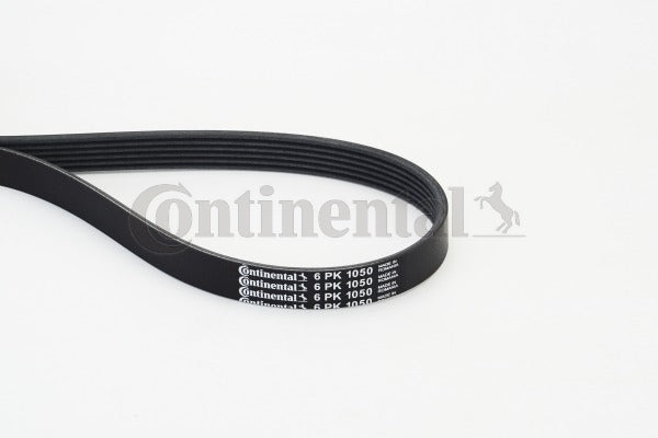 Curea transmisie cu caneluri 6PK1050 CONTINENTAL CTAM