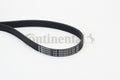 Curea transmisie cu caneluri 6PK1059 ELAST CONTINENTAL CTAM