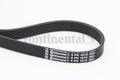 Curea transmisie cu caneluri 6PK1070 CONTINENTAL CTAM