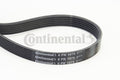 Curea transmisie cu caneluri 6PK1075 CONTINENTAL CTAM