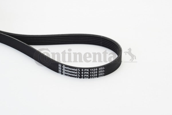 Curea transmisie cu caneluri 6PK1120 CONTINENTAL CTAM