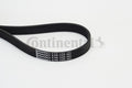 Curea transmisie cu caneluri 6PK1125 CONTINENTAL CTAM